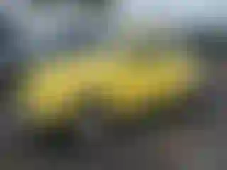 Vehicle Image- 1971 Volkswagen Beetle