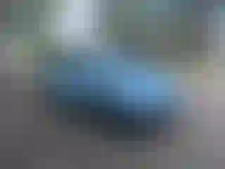 Vehicle Image- 1979 Volkswagen Beetle