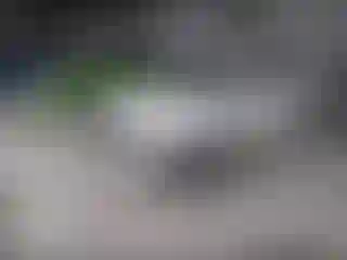 IMPORTOWO.pl