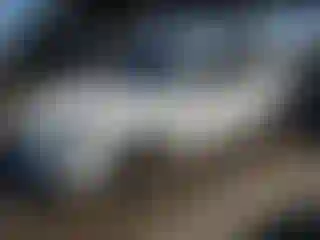 Vehicle Image- 2020 Acura ILX