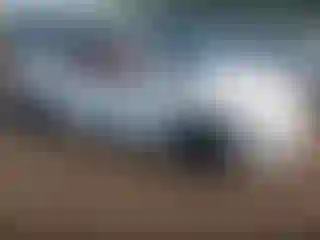 Vehicle Image- 2022 Acura ILX