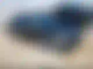 Vehicle Image- 2022 Acura ILX