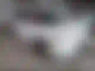 Vehicle Image- 2023 Acura Integra