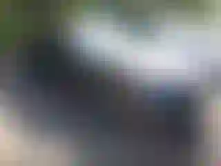 Vehicle Image- 2024 Acura Integra