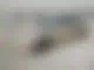 Vehicle Image- 2000 Acura TL