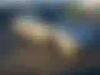 Vehicle Image- 2002 Acura TL
