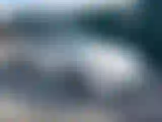Vehicle Image- 2005 Acura TL