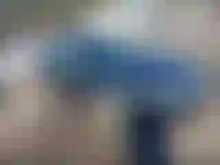 Vehicle Image- 2005 Acura TL