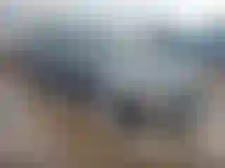 Vehicle Image- 2008 Acura TL