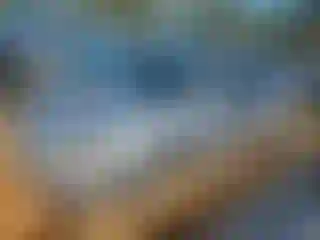 Vehicle Image- 2005 Acura TL