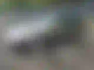 Vehicle Image- 2008 Acura TL