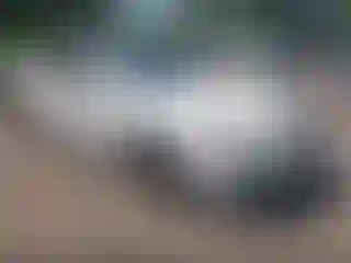 Vehicle Image- 2004 Acura TL