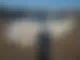 Vehicle Image- 2005 Acura TL