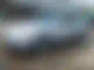 Vehicle Image- 2005 Acura TL