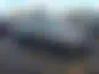 Vehicle Image- 2008 Acura TL