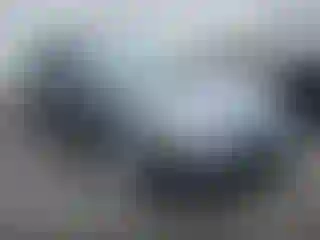 Vehicle Image- 2006 Acura TL