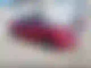 Vehicle Image- 2007 Acura TL