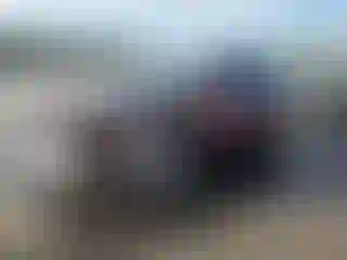 Vehicle Image- 2012 Acura TL