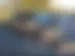 Vehicle Image- 2010 Acura TL