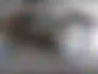 Vehicle Image- 2010 Acura TL