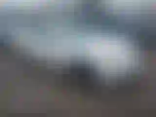 Vehicle Image- 2011 Acura TL