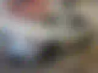 Vehicle Image- 2012 Acura TL