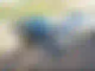 Vehicle Image- 2011 Acura TL