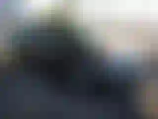 Vehicle Image- 2013 Acura TL