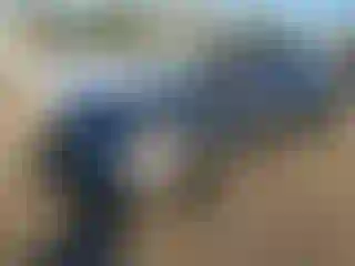 Vehicle Image- 2009 Acura TL