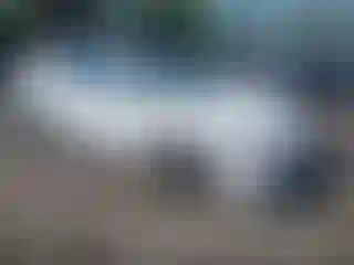 Vehicle Image- 2016 Acura TLX