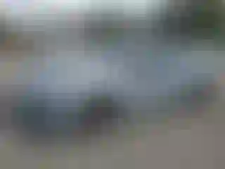 Vehicle Image- 2024 Acura TLX