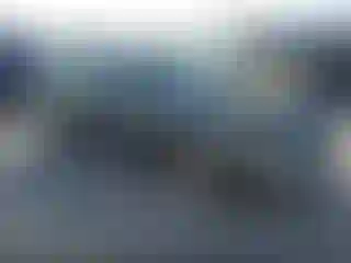 Vehicle Image- 2009 Honda Civic