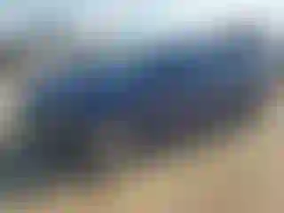 Vehicle Image- 2009 Honda Civic