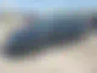 Vehicle Image- 2009 Honda Civic