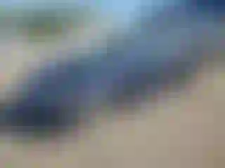 Vehicle Image- 2009 Honda Civic