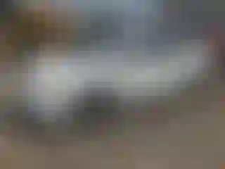 Vehicle Image- 2009 Honda Civic