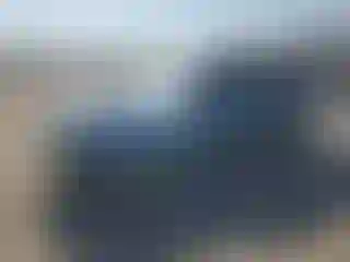 Vehicle Image- 2010 Honda Civic