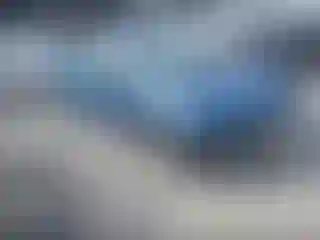 Vehicle Image- 2010 Honda Civic