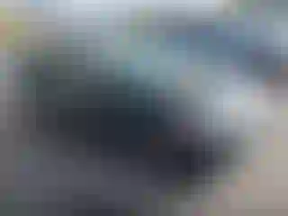 Vehicle Image- 2010 Honda Civic