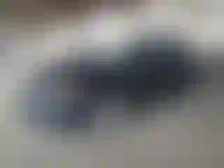 Vehicle Image- 2012 Honda Civic