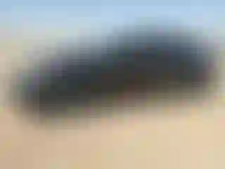 Vehicle Image- 2013 Honda Civic