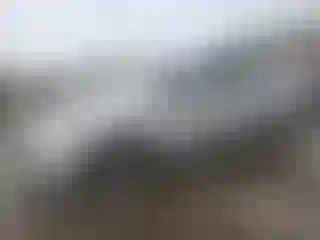 Vehicle Image- 2015 Honda Civic