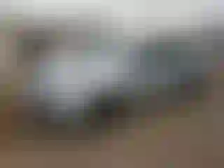 Vehicle Image- 2014 Honda Civic