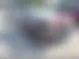 Vehicle Image- 2013 Honda Civic