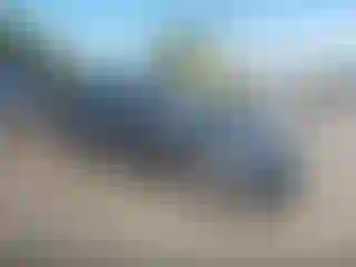 Vehicle Image- 2014 Honda Civic