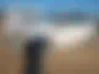 Vehicle Image- 2015 Honda Civic