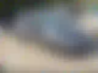 Vehicle Image- 2015 Honda Civic