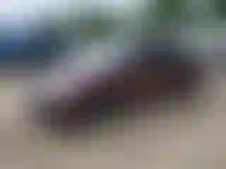 Vehicle Image- 2015 Honda Civic