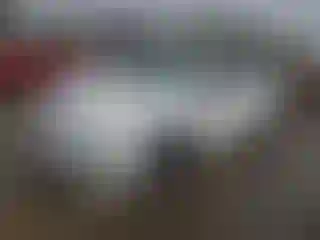 Vehicle Image- 2014 Honda Civic