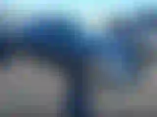 Vehicle Image- 2020 Honda Civic